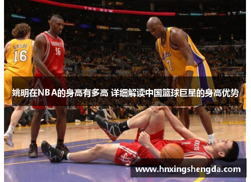 姚明在NBA的身高有多高 详细解读中国篮球巨星的身高优势